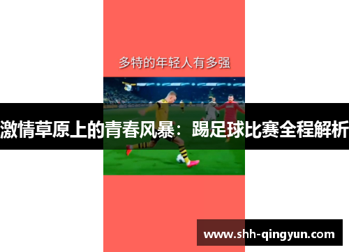 激情草原上的青春风暴：踢足球比赛全程解析