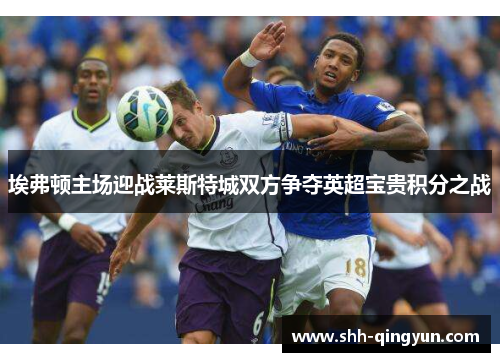 埃弗顿主场迎战莱斯特城双方争夺英超宝贵积分之战