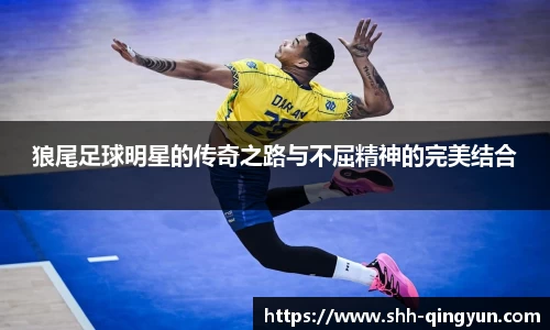 狼尾足球明星的传奇之路与不屈精神的完美结合