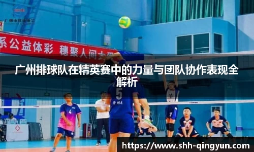 广州排球队在精英赛中的力量与团队协作表现全解析
